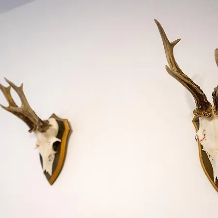 Am Grimming 16 Apartman