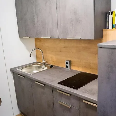 Apartman Am Grimming 16 *