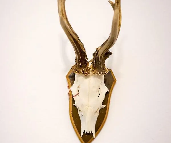 Am Grimming 16 Daire Tauplitz