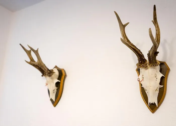 Am Grimming 16 Apartment